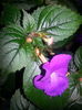 20150918_185910
