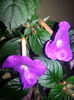 20150918_185918