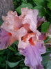 20150521_070206