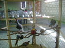 DSC02130