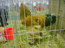 DSC02064