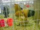 DSC02065