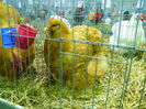 DSCF0045
