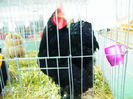 DSCF0049