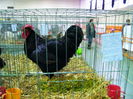 DSCF0056