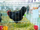 DSCF0057