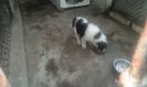 20160214_110901