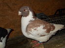 DSCN1285