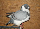 DSCN1287