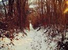 DSC03863