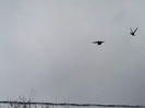 IMG_20160215_120843