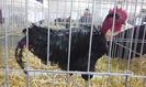 20160213_132838