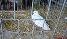 20160213_134523
