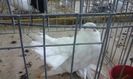 20160213_134906