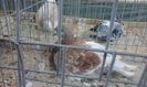 20160213_135316