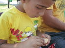 GEDC0099