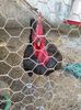 IMG_20160207_145135