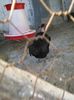 IMG_20160207_145314