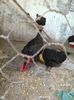 IMG_20160207_145519