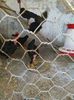 IMG_20160207_145544