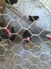 IMG_20160207_145547