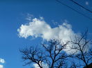 DSCN8420