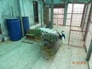 DSC02069