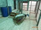 DSC02071