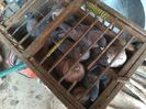 IMG_20160216_063449