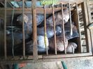 IMG_20160216_063439