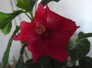 P1040990