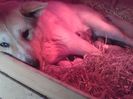 20160217_085840[1]