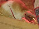 20160217_075328[1]