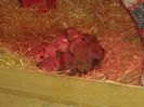 20160217_074447[1]