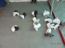 DSC02109