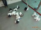 DSC02112