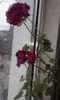 20160217_141206