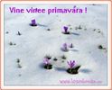vine_primavara_1472