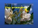 wwwpower-pointro-1095-vine-primavara-catalin-crisan-1-728