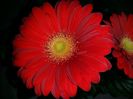20160217_225554