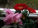 20160218_132159