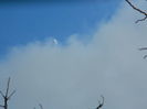 DSCN8769