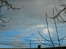 DSCN8770