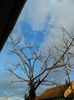 DSCN8771