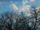 DSCN8794