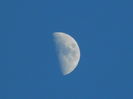 DSCN8799