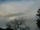DSCN8804