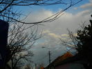 DSCN8806
