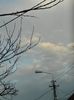 DSCN8808
