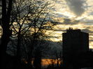 DSCN8815